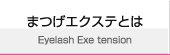 まつげエクステとは